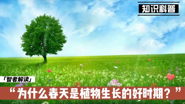 为什么春天是植物生长的好时期?