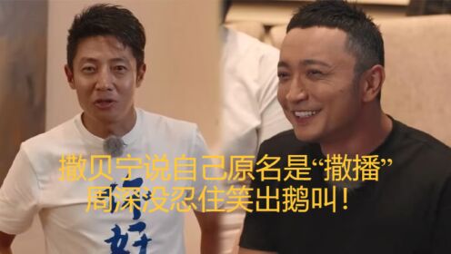 撒贝宁说自己原名是“撒播”,尼格买提没忍住笑出声,周深笑出鹅叫!_高清1080P在线观看平台_腾讯视频