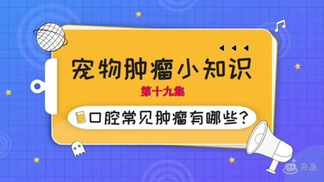 宠物口腔常见肿瘤有哪些?#养宠进阶指南 #宠物知识小课堂 #科学养宠攻略