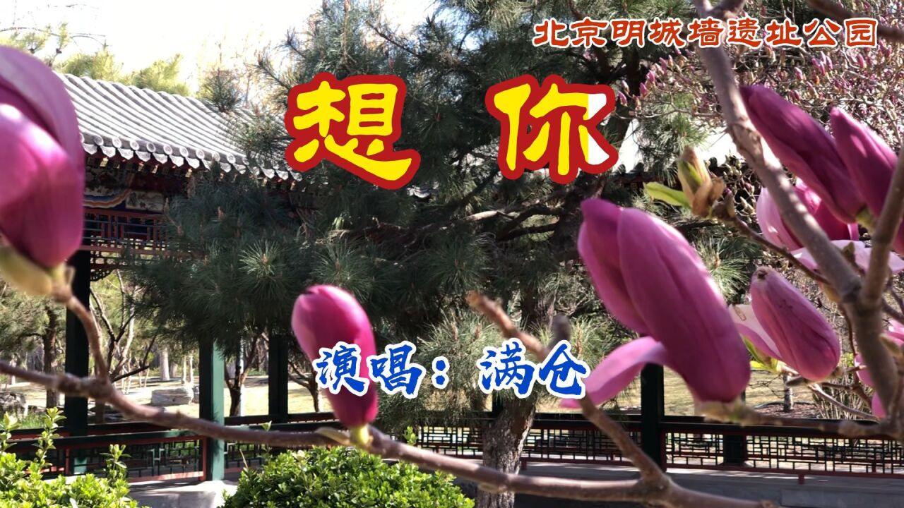 满仓一首醉人心扉的情歌《想你》,很火的陕北民调,超好听.