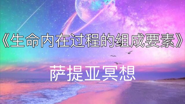 萨提亚冥想:《生命内在过程的组成要素》