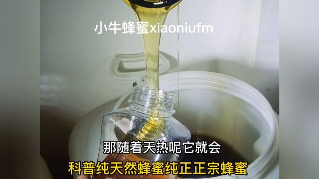 如何选择蜂蜜品种蜂蜜水的功效与作用吃蜂蜜有什么好处纯天然纯正蜂蜜的特性 蜂蜜 #蜂王浆 #蜂胶 蜂花粉关注小牛蜂蜜带你了解更多蜂知识蜂蜜水的功效与...