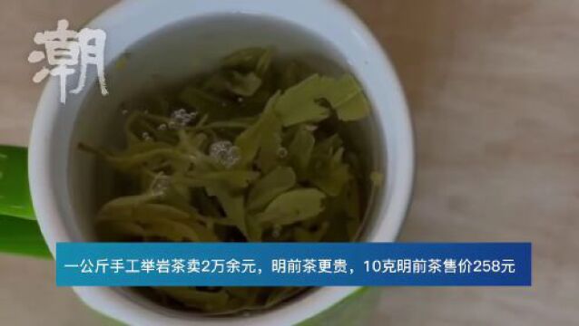 10克金华婺州举岩明前茶卖258元,非遗传承人诚邀运营官