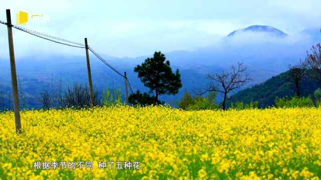 寻找目的地 | 打卡宁海!一路美景,一路美食