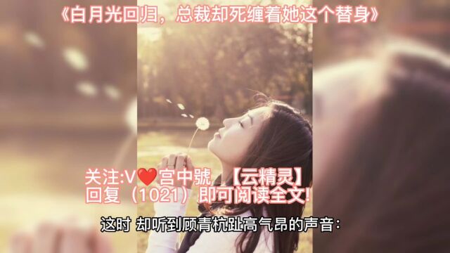 【白月光回归,总裁却死缠着她这个替身】顾北爵陆臻小说已结局全文免费阅读无删减