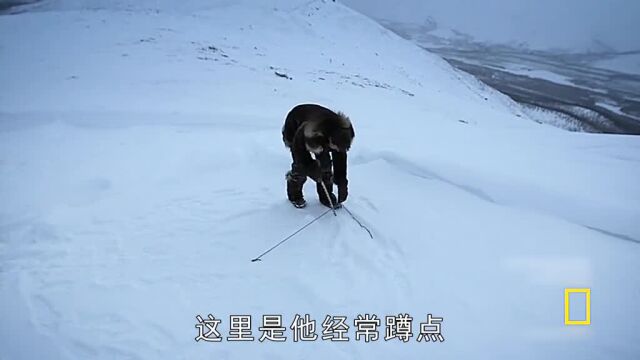 d178集:格伦盖一个雪屋#零度以下的生活#纪录片