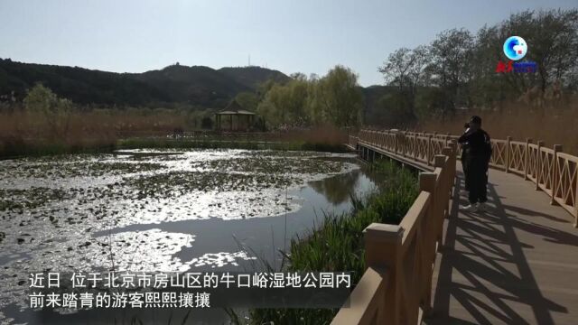 全球连线|“双碳”目标下,法国环保企业在华抢抓发展新机遇