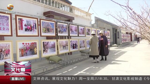 金塔县第六届杏花文化艺术节启动