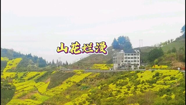 皖南坡山免费景区