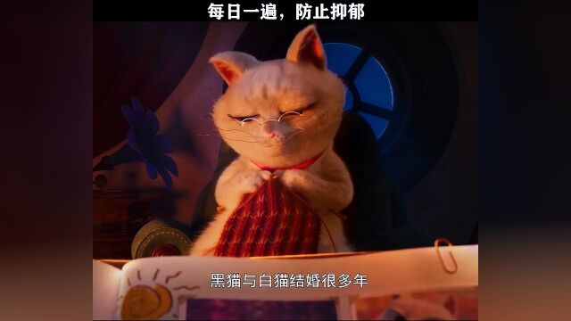 猫的烦恼:论如何在黑夜里拍出一只黑猫的帅气…