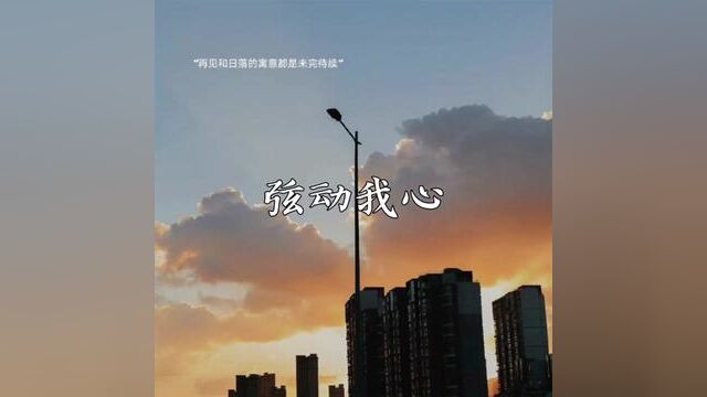 今天的古典治愈系,西贝柳斯《d小调小提琴协奏曲》第一乐章#音乐 #情感 #正能量 #精彩片段 #经典老歌