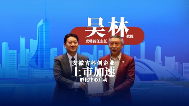 安徽省科创企业上市加速孵化中心启动,吴林受聘首任主任