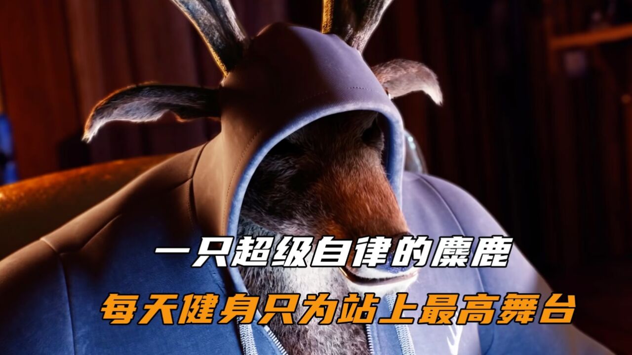 一只超级自律的麋鹿,每天健身只为站上最高的舞台!