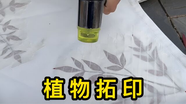 你敢信!用植物给衣服染色,并且还非常“好看”