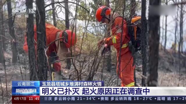 云南丽江:玉龙县塔城乡堆满村森林火情,明火已扑灭,起火原因正在调查中