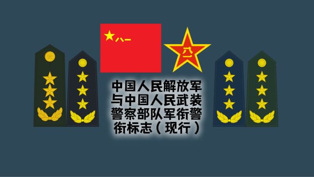 世界各国军衔标志:中国人民解放军与武警部队军警衔标志(现行)