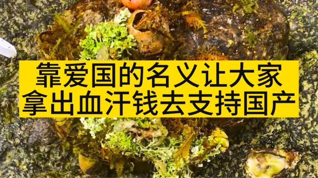 靠爱国的名义让大家,拿出血汗钱去支持国产