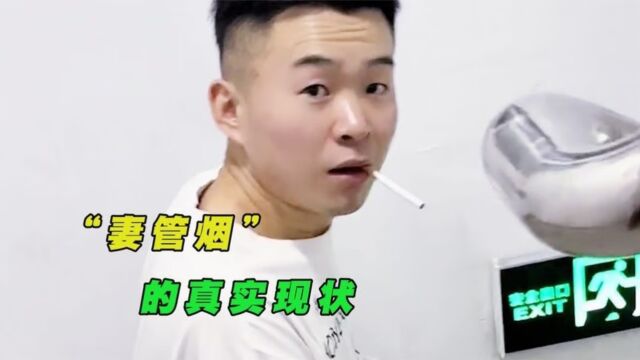 盘点“妻管烟”的真实现状,人人笑李铁,但人人都是李铁