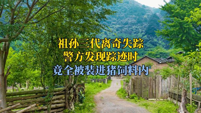 祖孙三代离奇失踪,警方发现踪迹时,竟全被装进猪饲料内