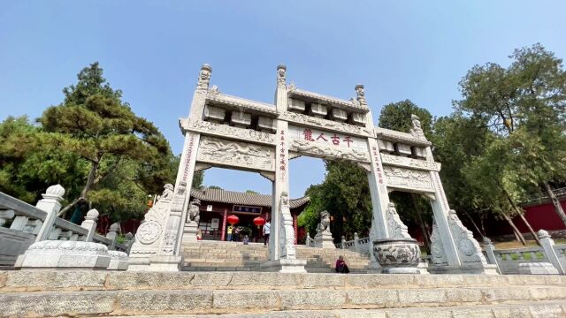 南阳卧龙岗文化园:树龄1700年古楸树开花,绚丽绽放