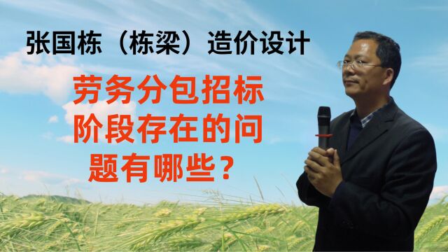 张国栋(栋梁)造价设计:劳务分包招标阶段存在的问题有哪些?