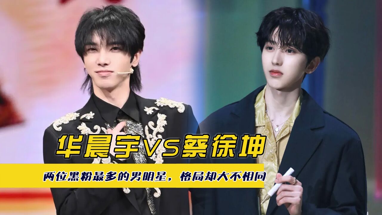 华晨宇vs蔡徐坤,两位黑粉最多的男明星,格局却大不相同