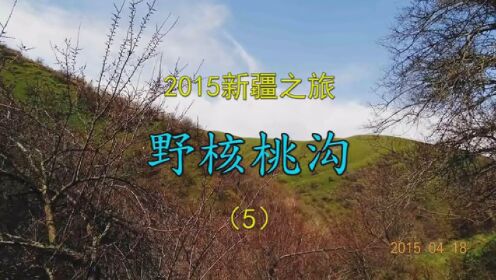 2015新疆之旅 野核桃沟（5） #导游带你游中国