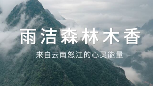 雨洁森林木香创香故事