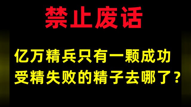 禁止废话:亿万精兵只有一颗成功,受精失败的精子去哪了?