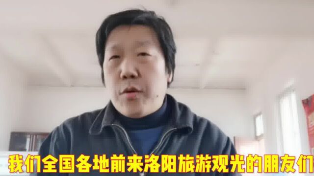 洛阳民间自发组织车队接送外地游客 全国的朋友都说洛阳 #洛阳 #汉服 #龙门