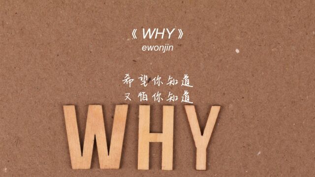 《WHY》很温柔的旋律,好听哭了