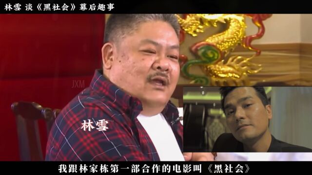 林雪谈《黑社会》幕后趣事:称“有场戏差点被林家栋打晕”