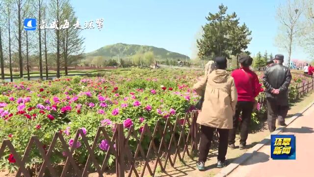 提档升级!环翠各景区以“最佳姿态”迎旅游旺季