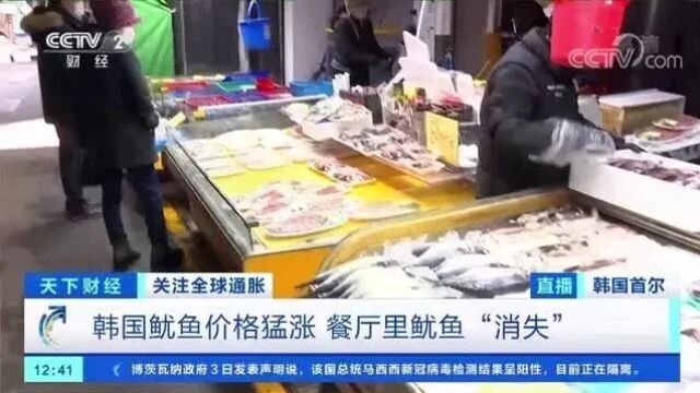 “离家出走”的鱿鱼!这里鱿鱼价格猛涨,捕捞量骤降六成!它们都去哪儿了?