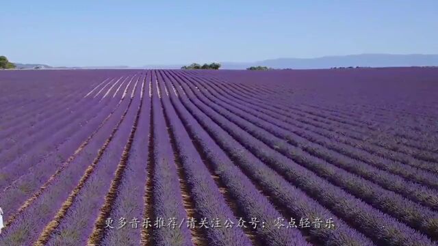 这首《普罗旺斯》,不知迷倒了多少人