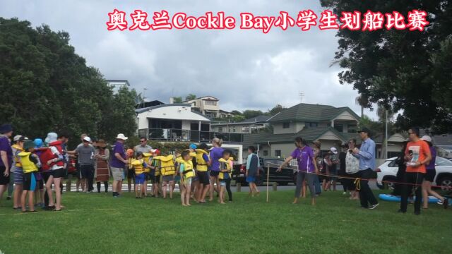 奥克兰Cockle Bay小学生划船比赛