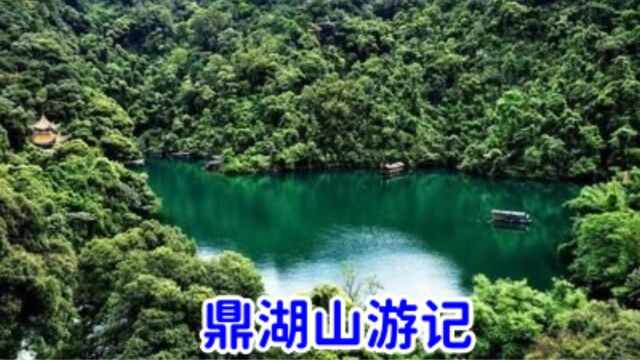 旅游记忆:沉醉在鼎湖山的旖旎中