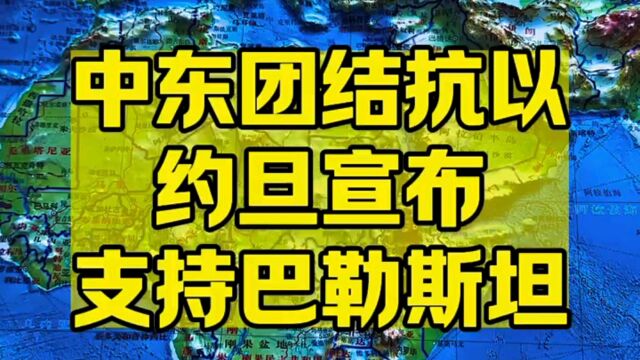 中东团结抗议约旦宣布支持巴勒斯坦