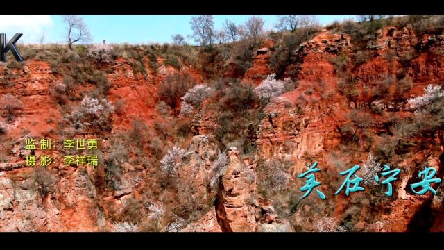 美在宁安火龙山杏花海