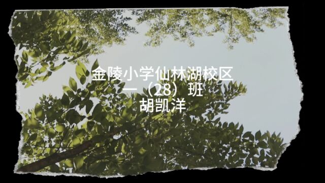 金陵小学仙林湖校区 一(28)班 胡凯洋作品 五一劳动节之帮妈妈晾衣服