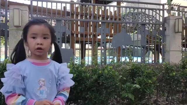 幼儿园景色之我来讲