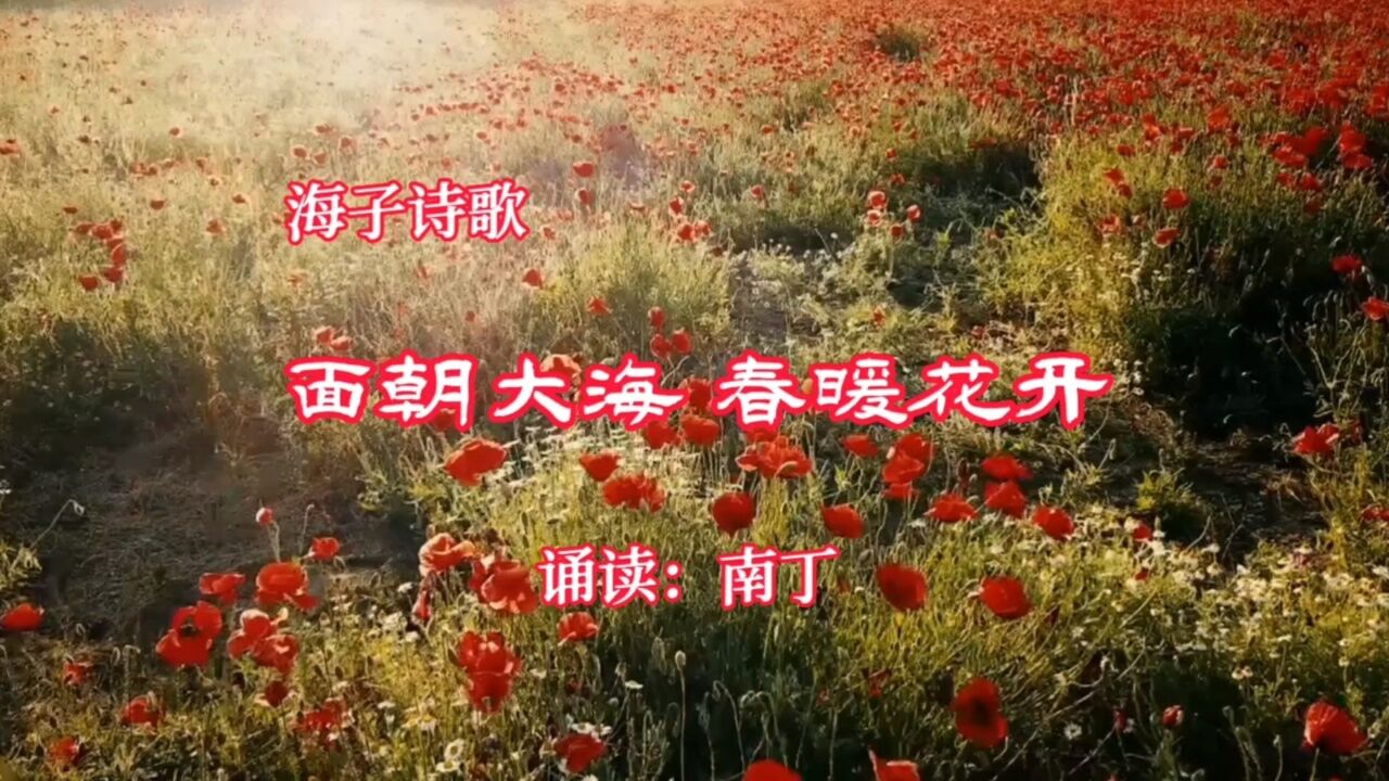 海子的诗壁纸,海子的诗配图_大山谷图库