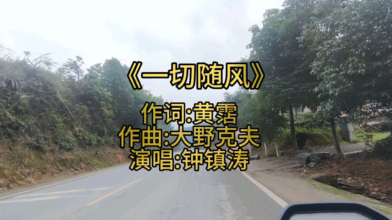 就让一切随风