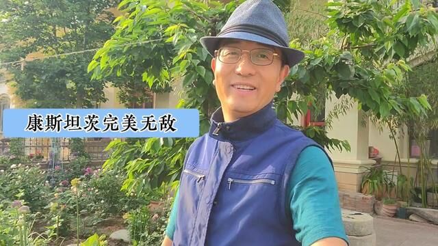 康斯坦茨完美无敌#月季#奥斯汀月季#康斯坦茨月季#橘子陈