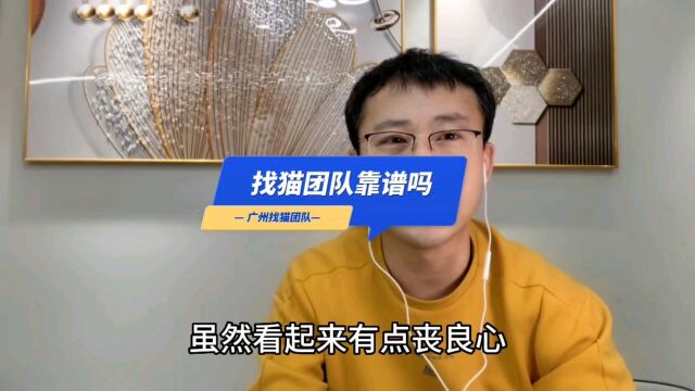 找猫团队靠谱吗?寻宠师傅教你怎么找靠谱的找猫团队