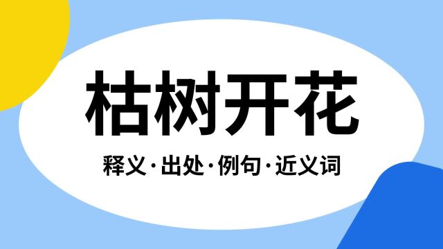 “枯树开花”是什么意思?