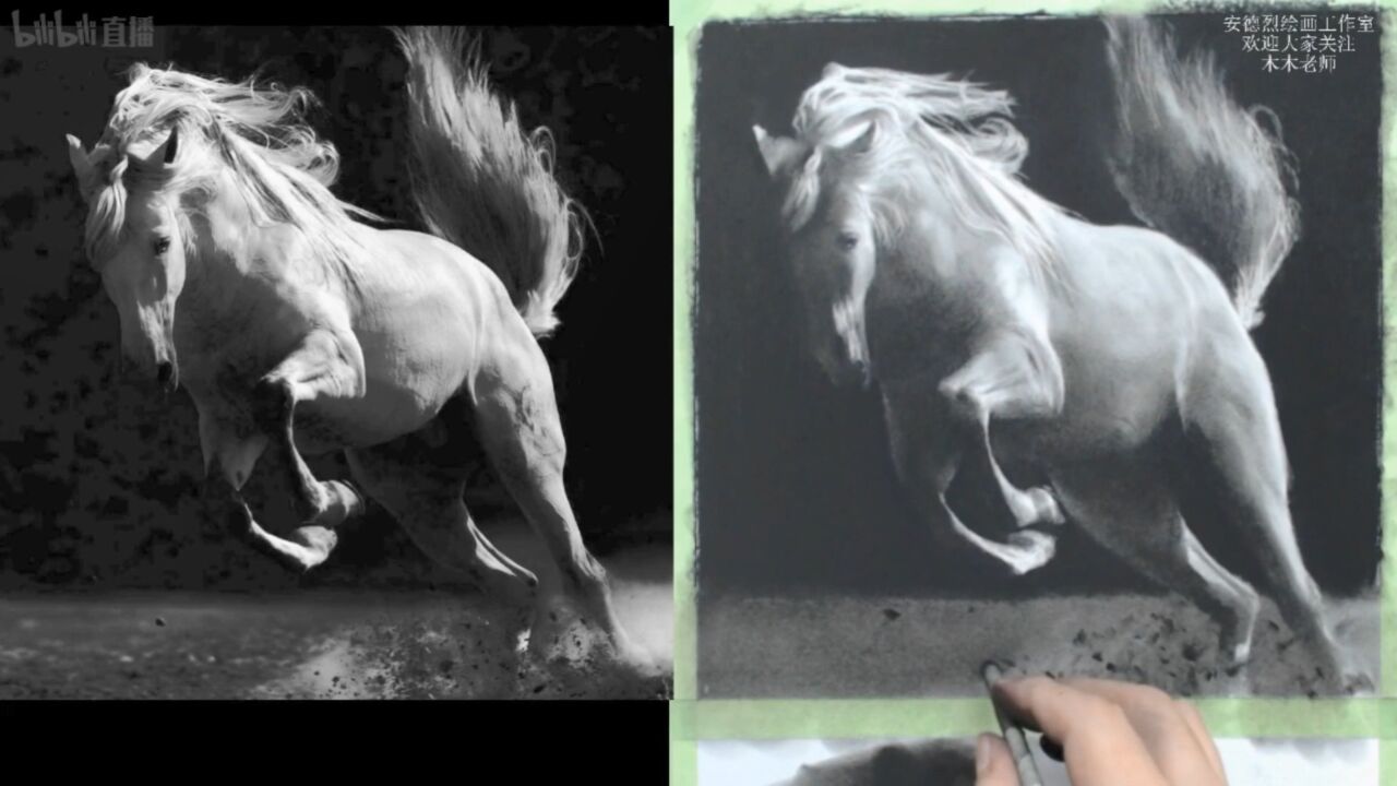 素描动物公开示范课"马"3——昭道·安德烈木木