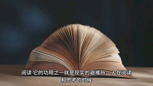 阅读理解思考?