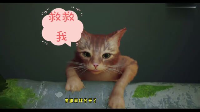 迷失stray:走丢的小猫咪乱入死城,遇到一群可怕的跳蚤