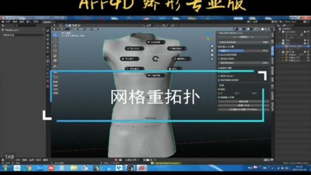 AFF4D矫形器侧弯设计系列1